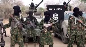 ISWAP Terrorists Attack Southern Borno Community