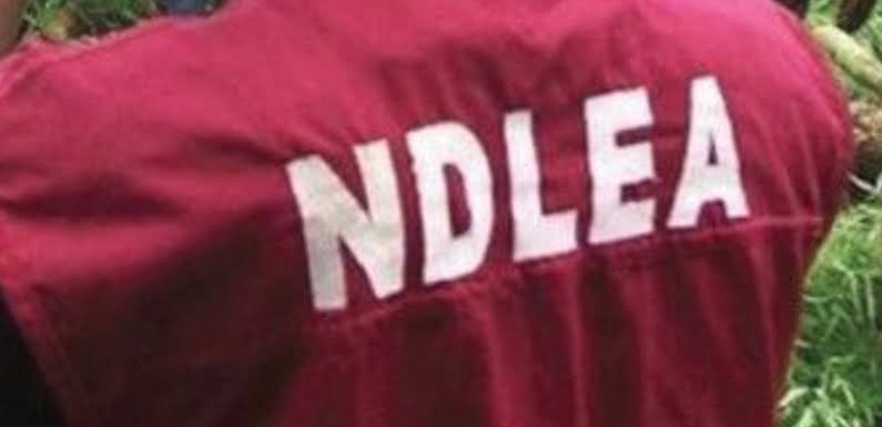 Kwara NDLEA Nabs 31 Drug Offences Suspects