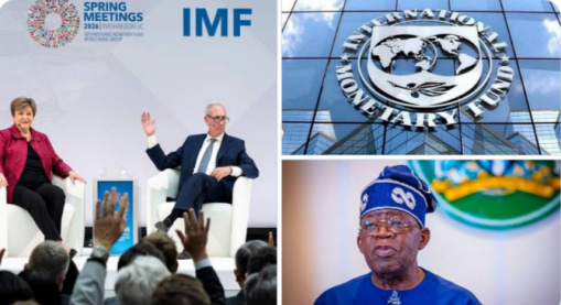 IMF Recommends Fuel and Telecom Taxes to Boost Nigeria’s Revenue